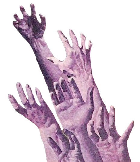 hands